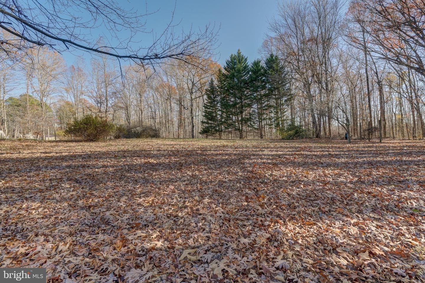 209 Walnut Woods Drive photo 41