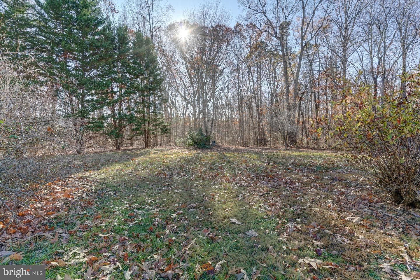 209 Walnut Woods Drive photo 42