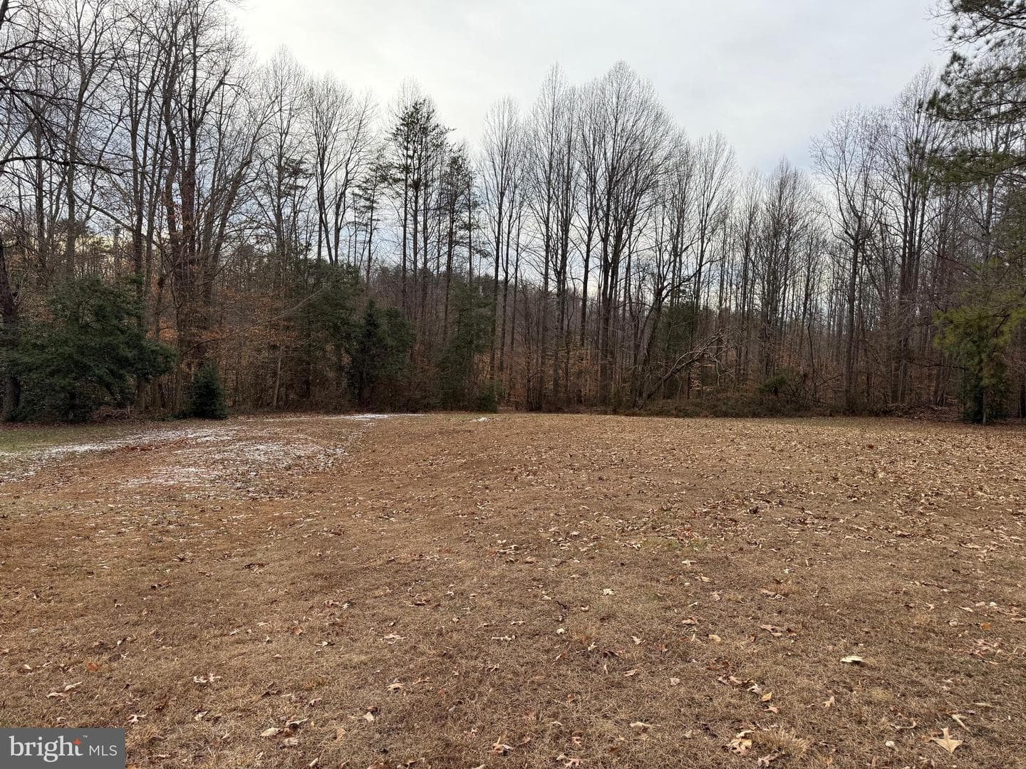 5545 Yanceyville Road photo 9