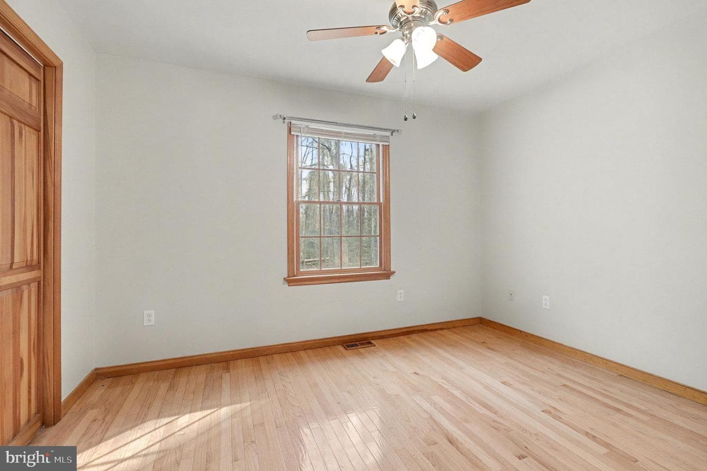 259 Hawkins Farm Road photo 14
