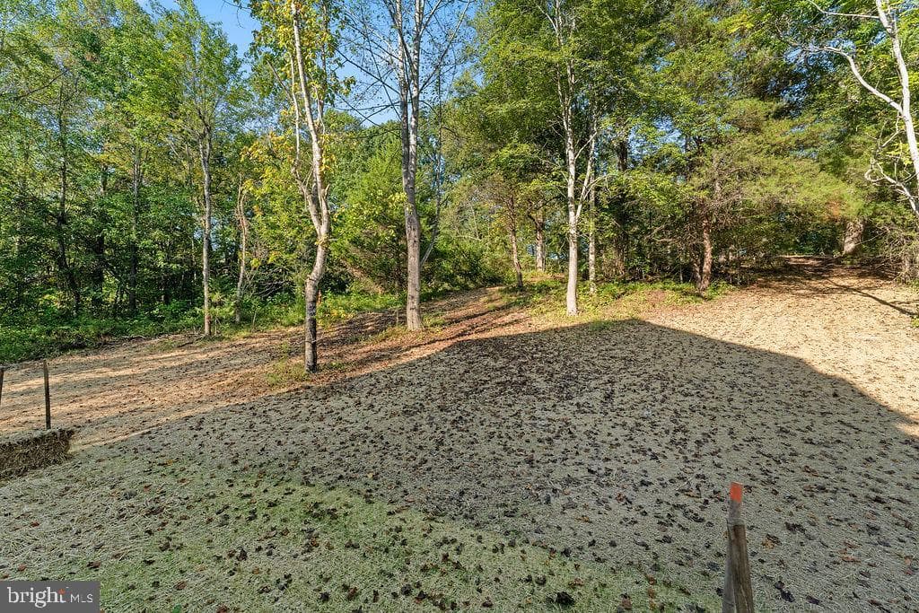 546 Paddock Lane photo 62