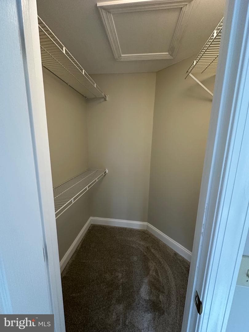 203 Nottingham Road photo 36