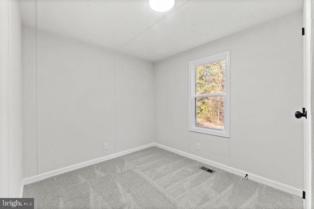 71 White Pine Lane photo 20