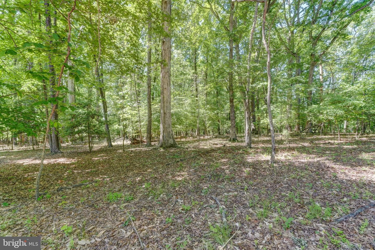 50 Retriever Court photo 77