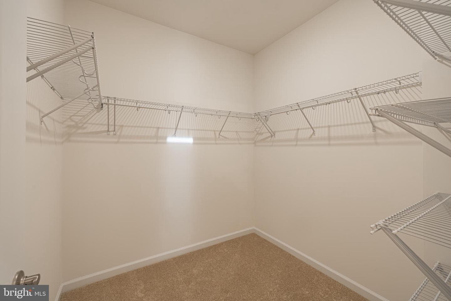 497 Bayberry Lane photo 19