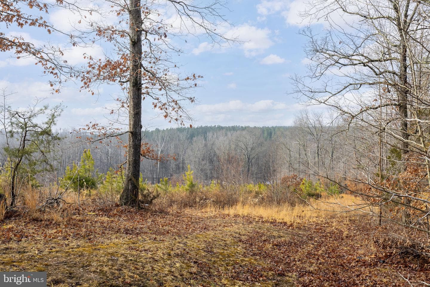 2481 Yanceyville Road photo 58