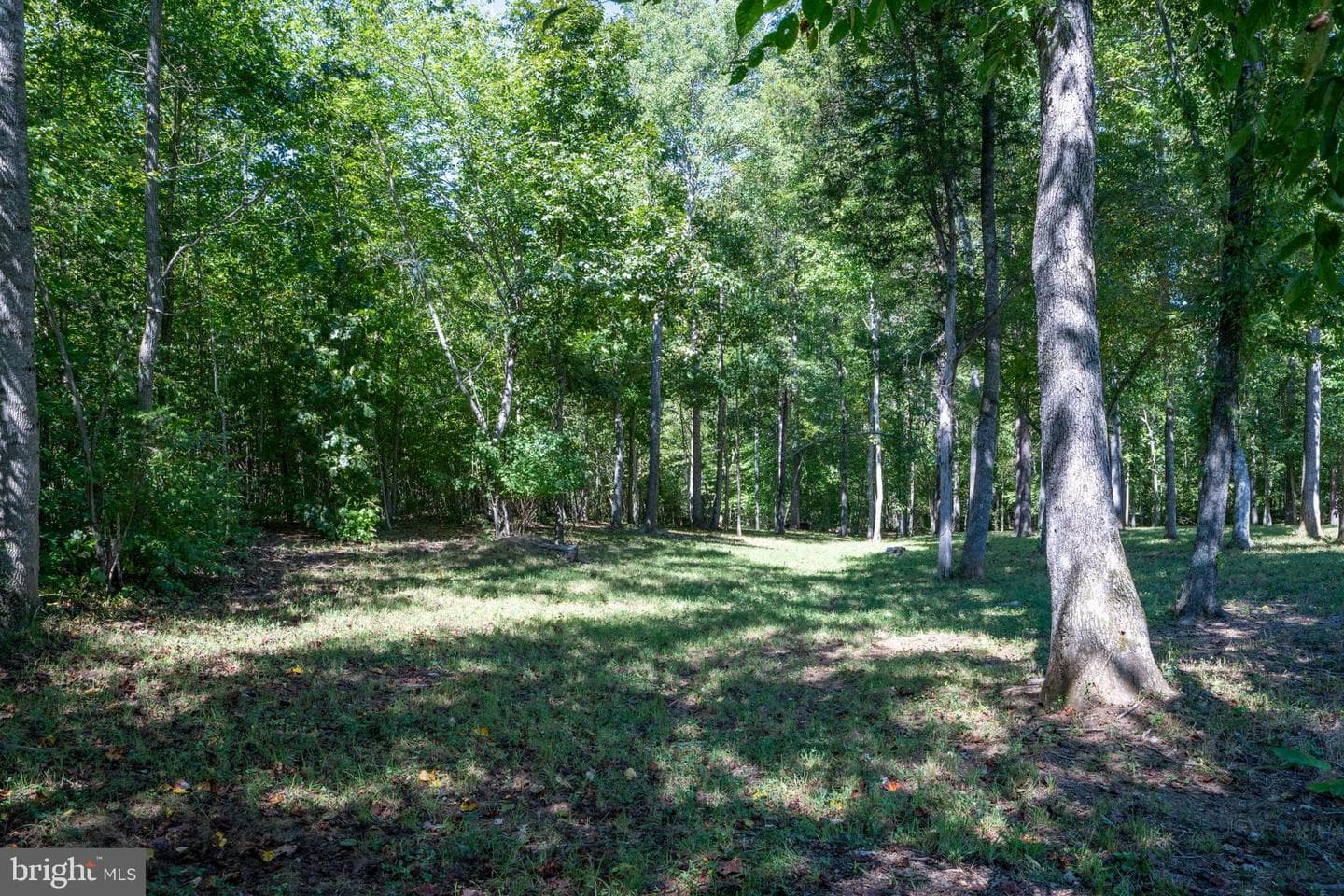 887 Hickory Creek Road photo 37