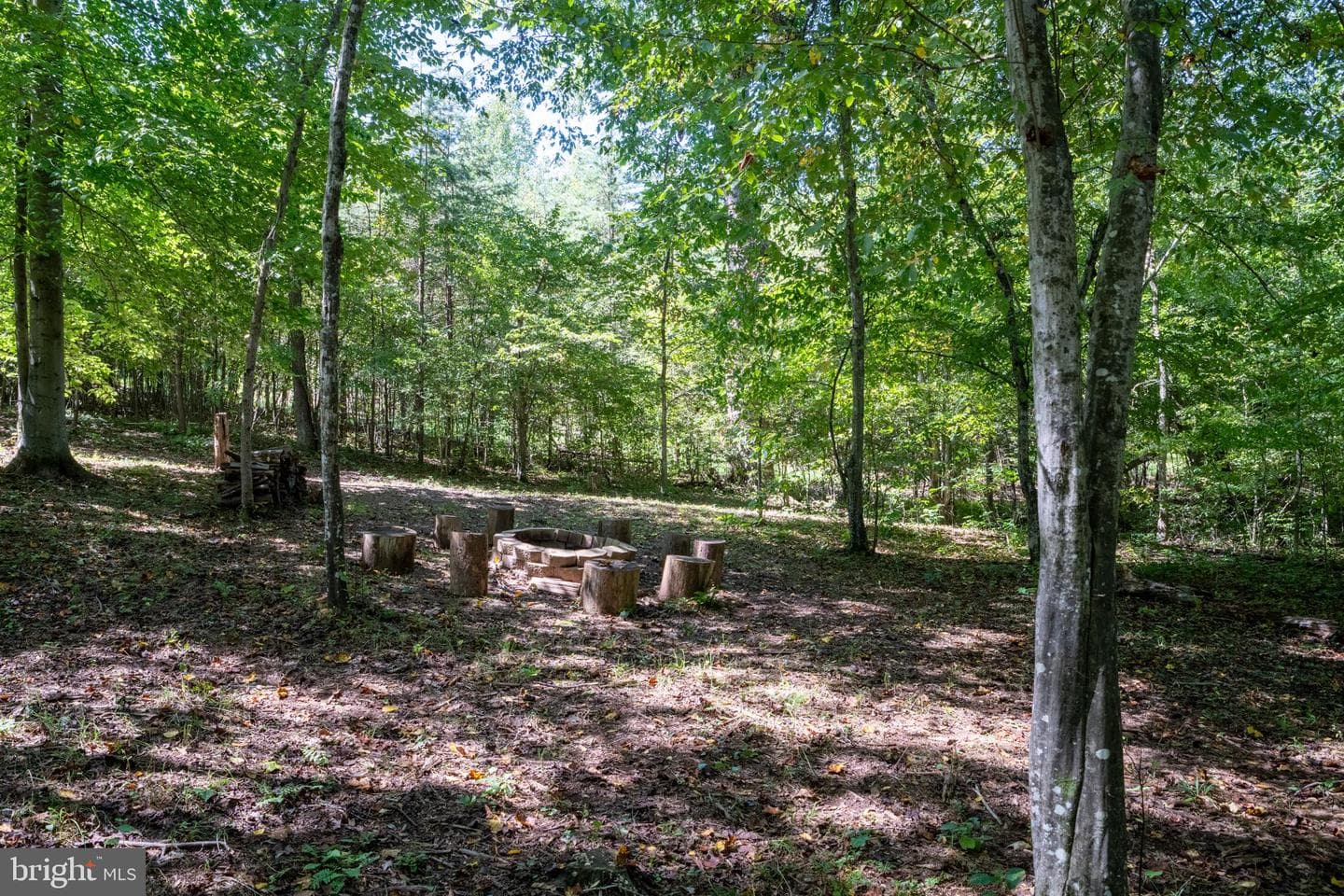 887 Hickory Creek Road photo 39