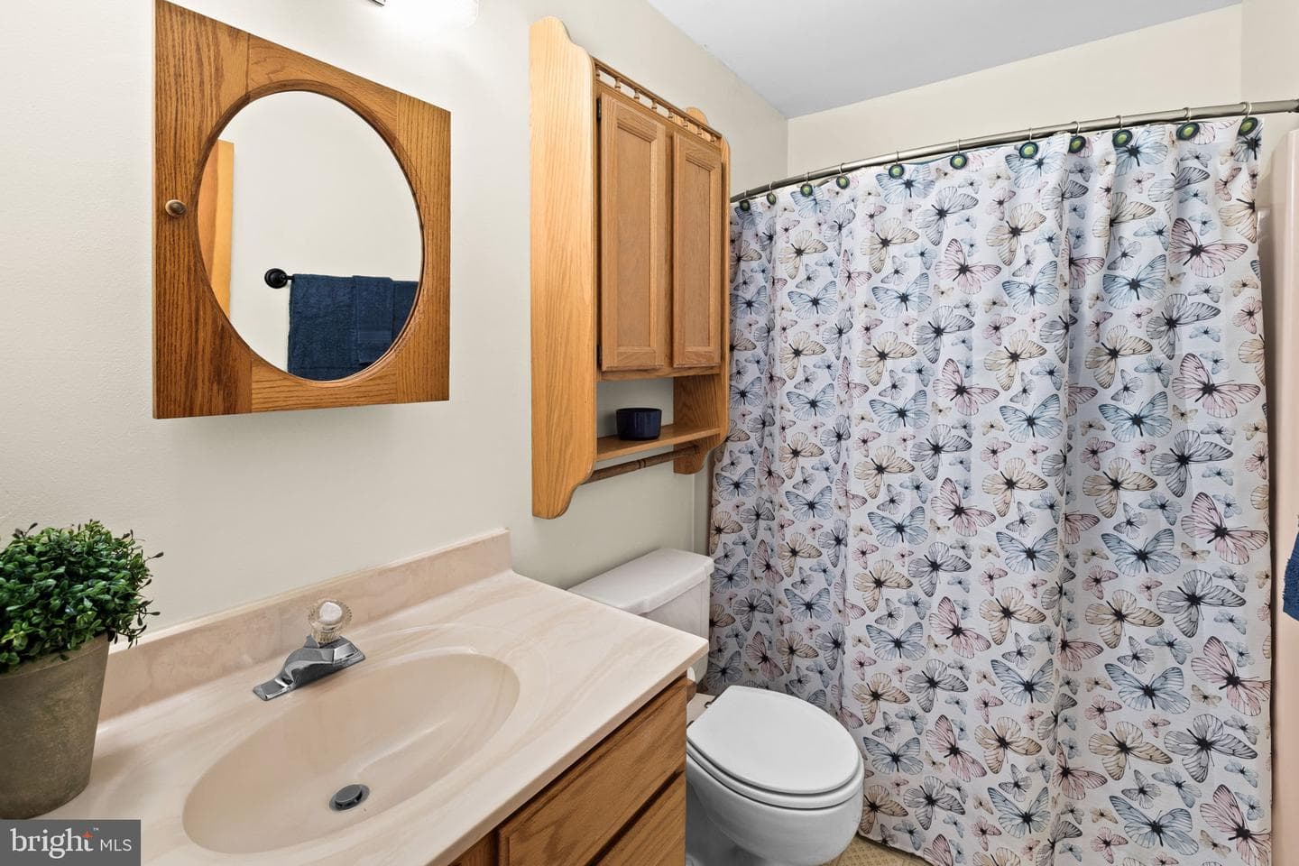 75 Mulberry Mdw photo 24