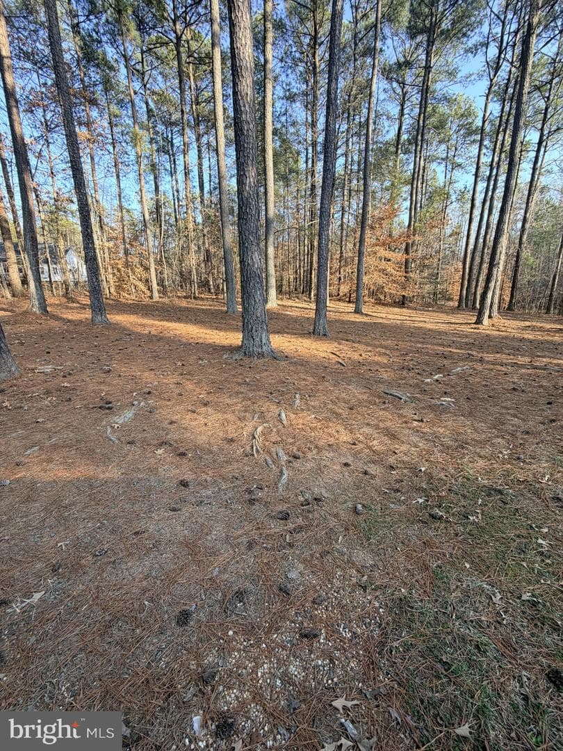 1109 Eastham Road photo 4