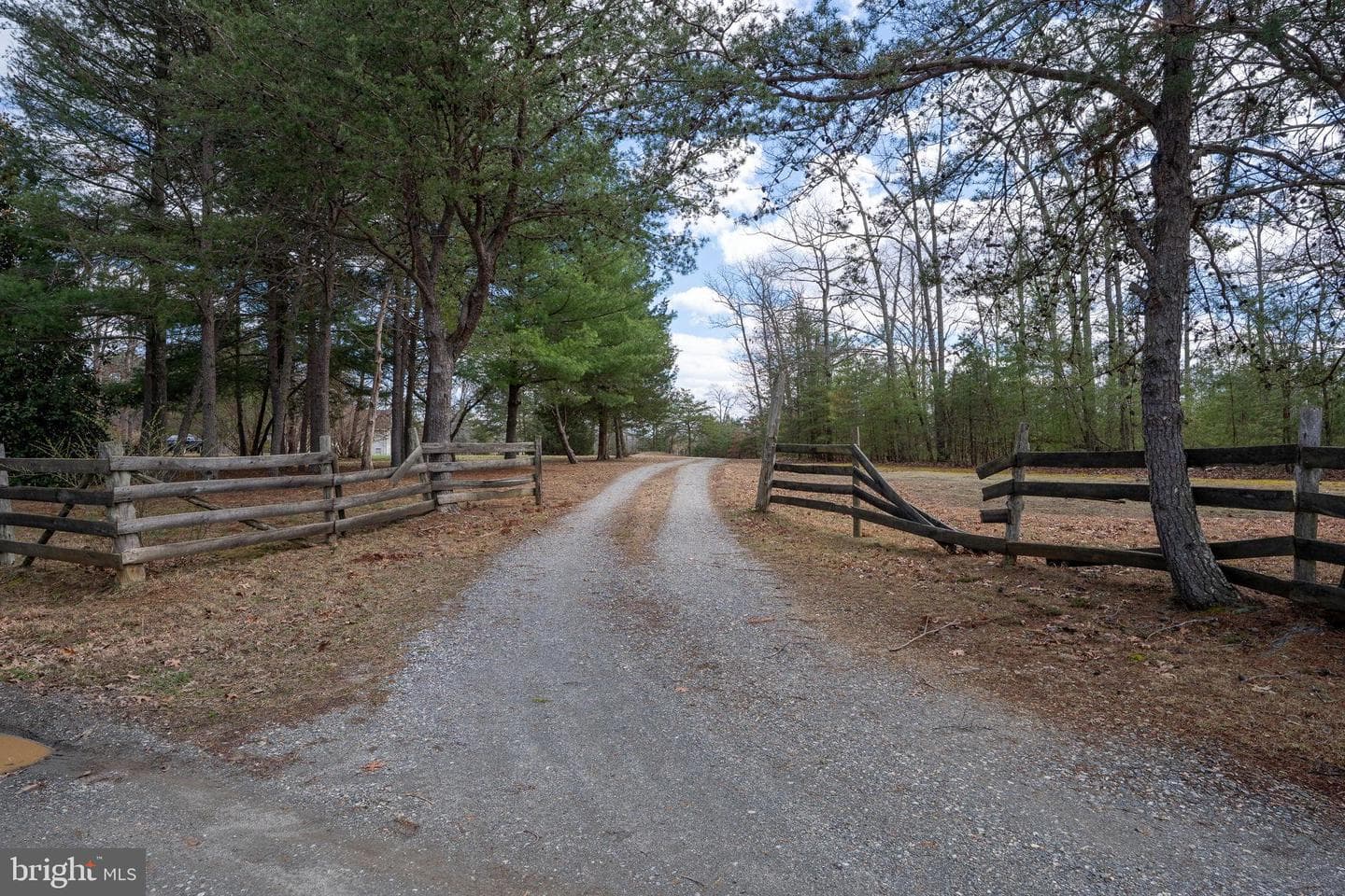 586 Jacoby Road photo 55