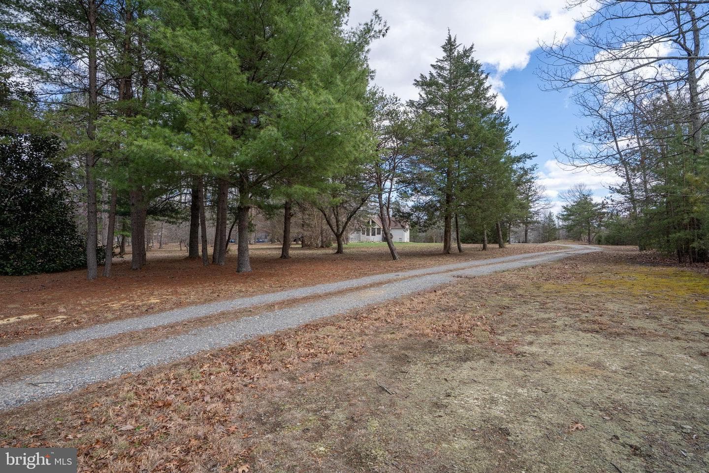 586 Jacoby Road photo 69