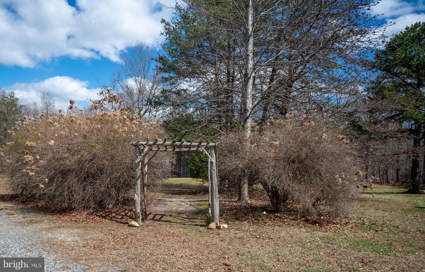 586 Jacoby Road photo 72