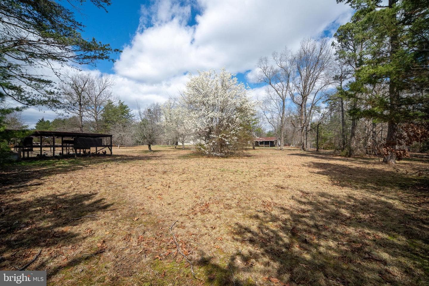 586 Jacoby Road photo 74
