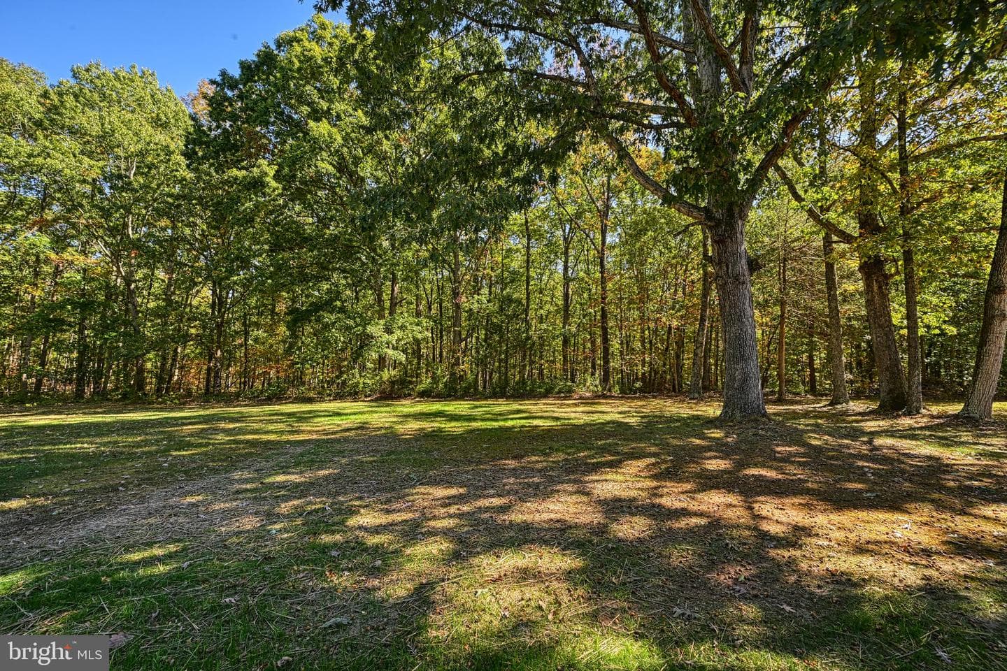 3040 Zachary Taylor Highway photo 15