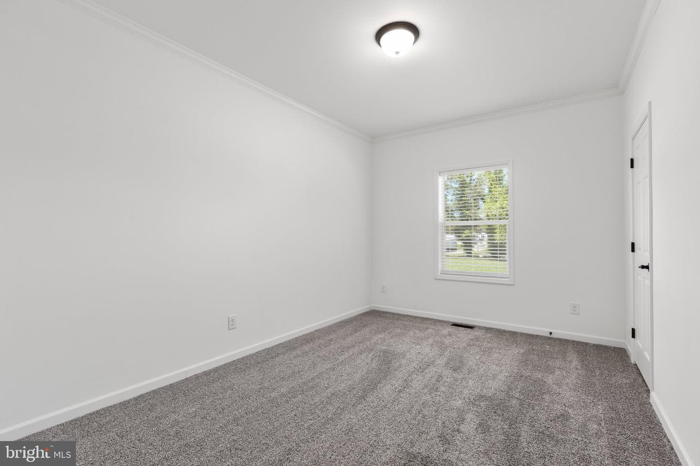 816 Mineral Avenue photo 17