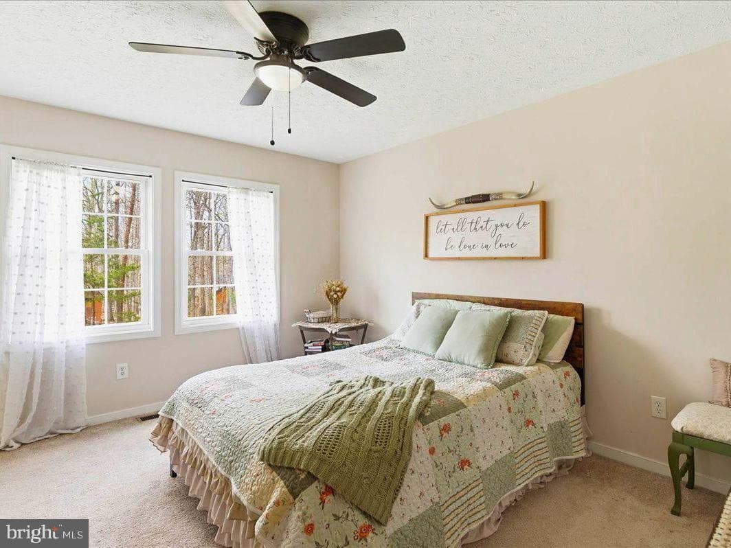 536 Pine Harbour Drive photo 33