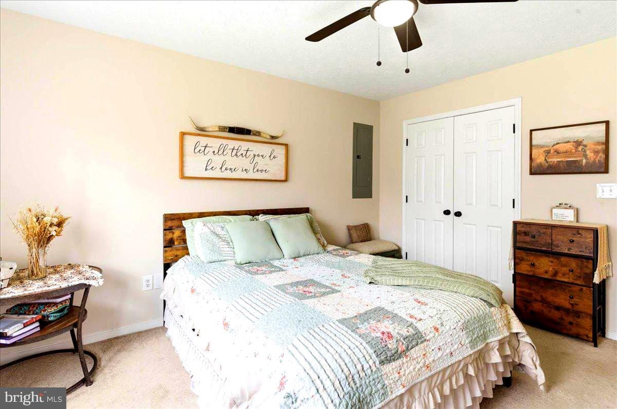 536 Pine Harbour Drive photo 34