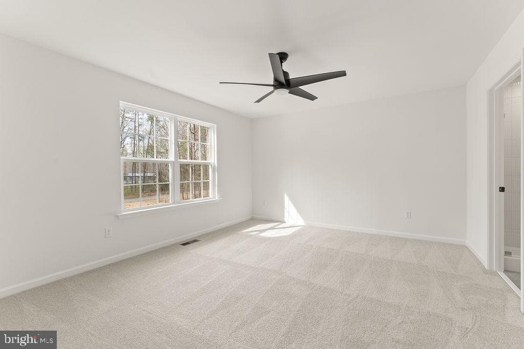 946 Pottiesville Rd photo 18