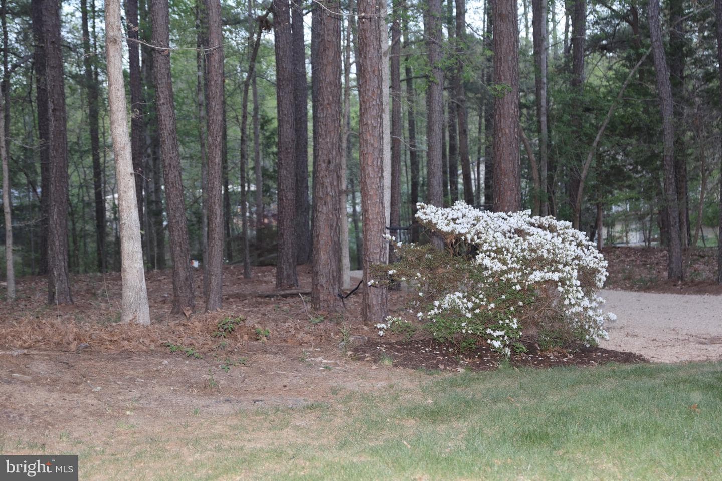 32 Miltons Lane photo 27