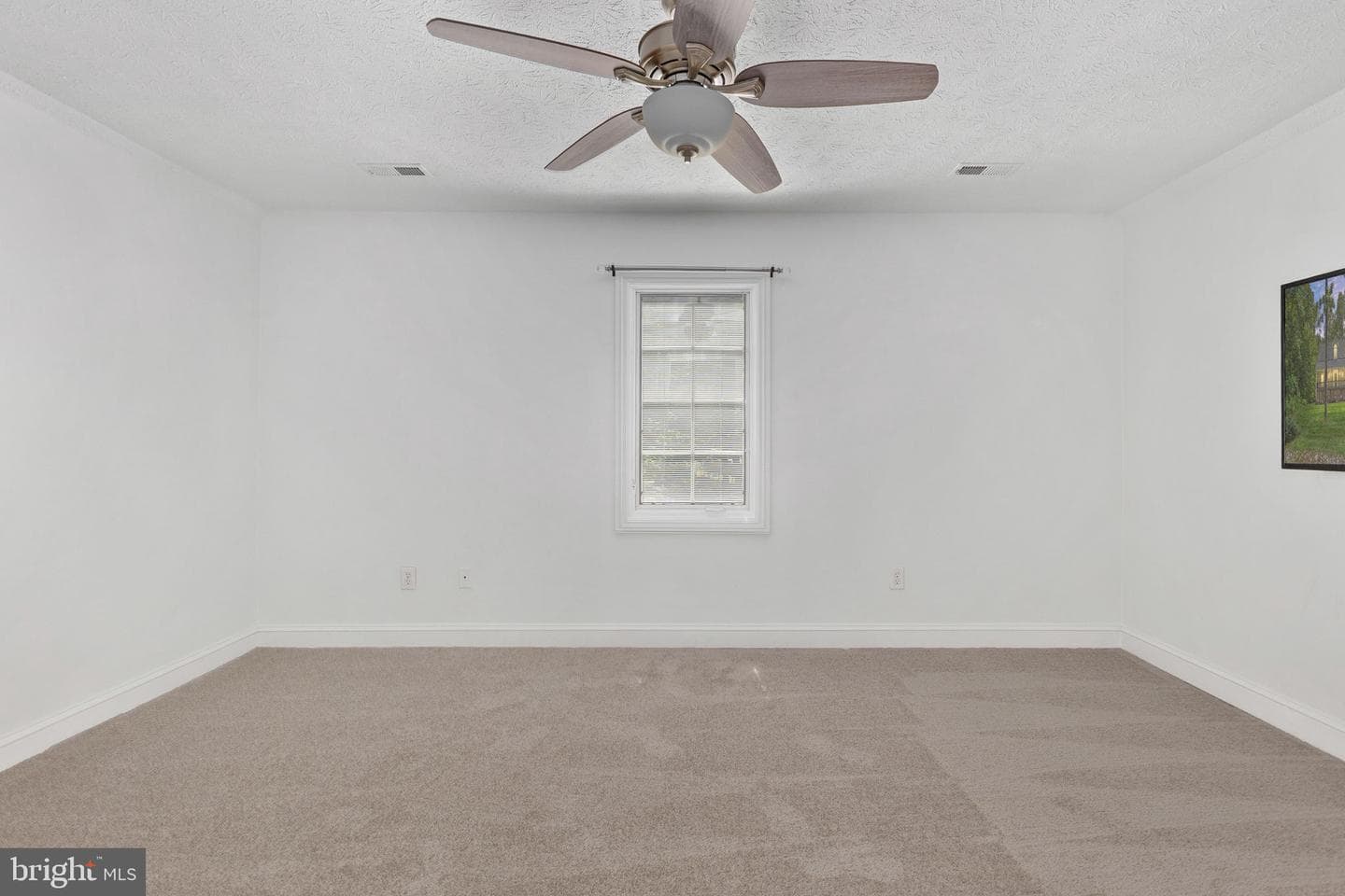 197 Oakleigh Lane photo 47
