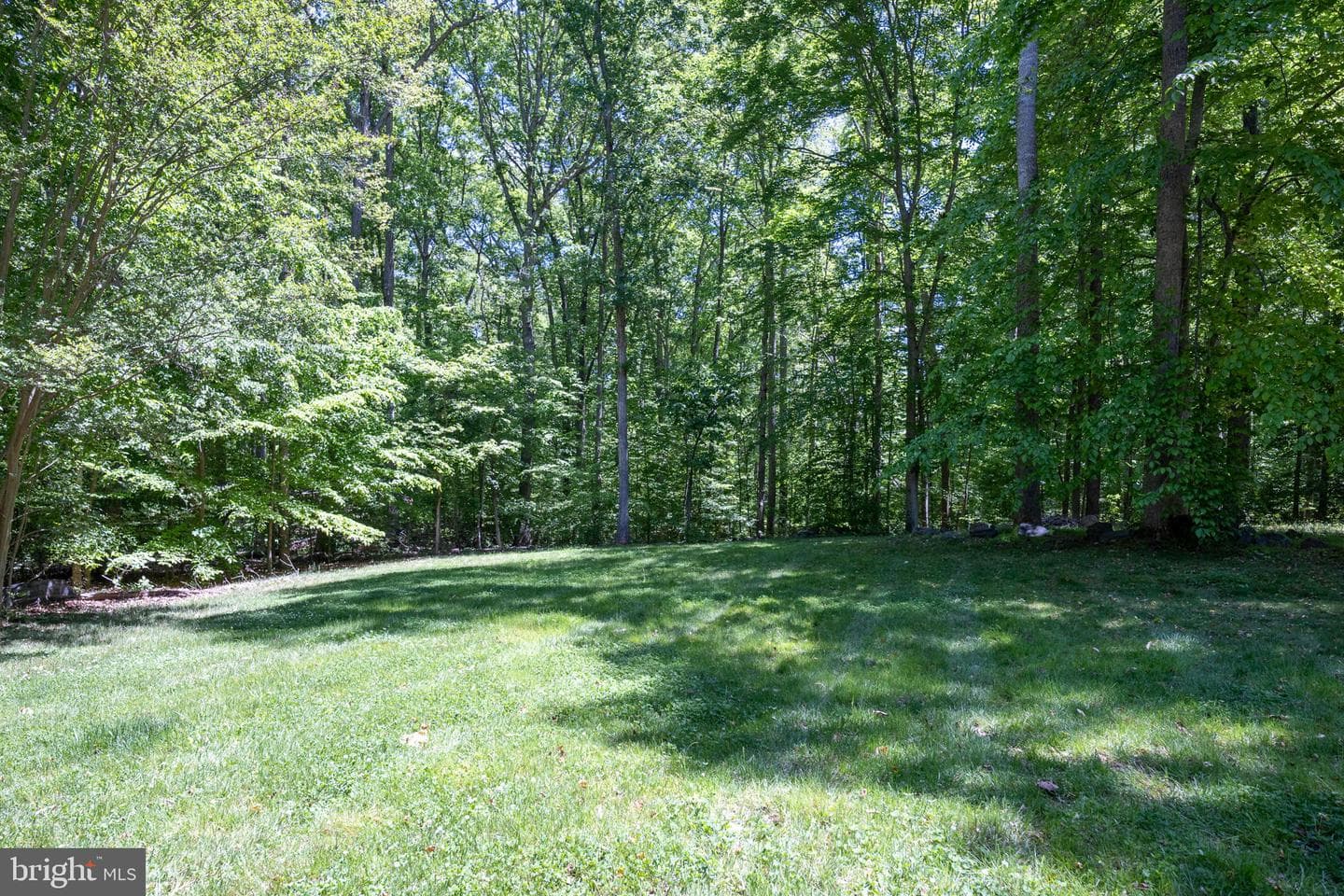 197 Oakleigh Lane photo 9