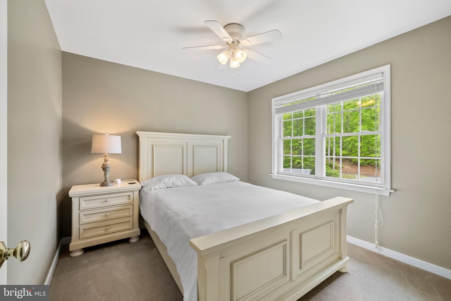 431 Wilson Street photo 21