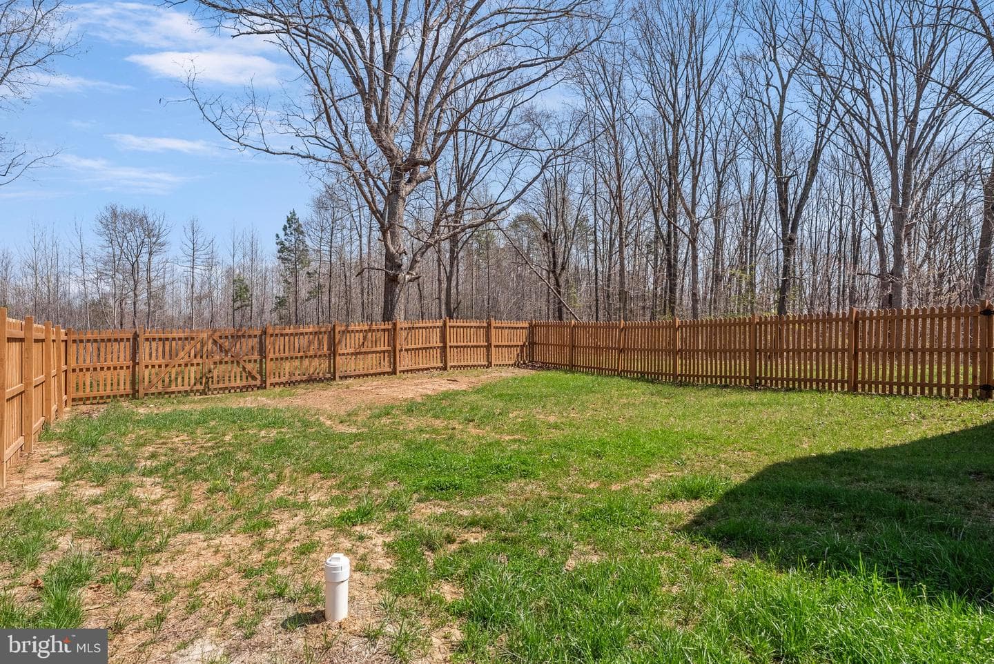 4316 Mt Airy Road photo 37