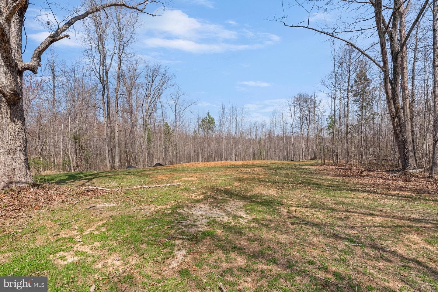 4316 Mt Airy Road photo 40