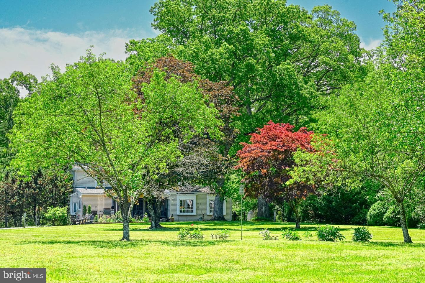 655 Bumpass Road photo 4