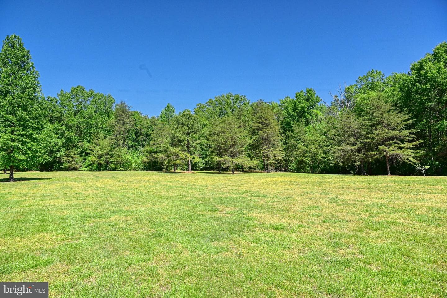 655 Bumpass Road photo 77
