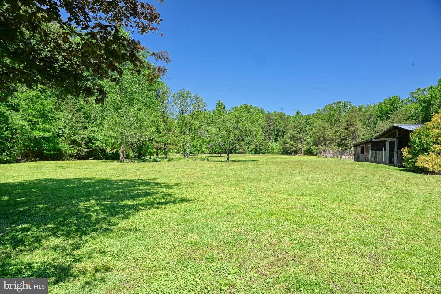 655 Bumpass Road photo 86