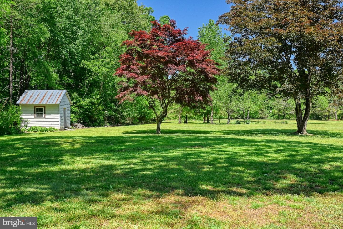 655 Bumpass Road photo 94
