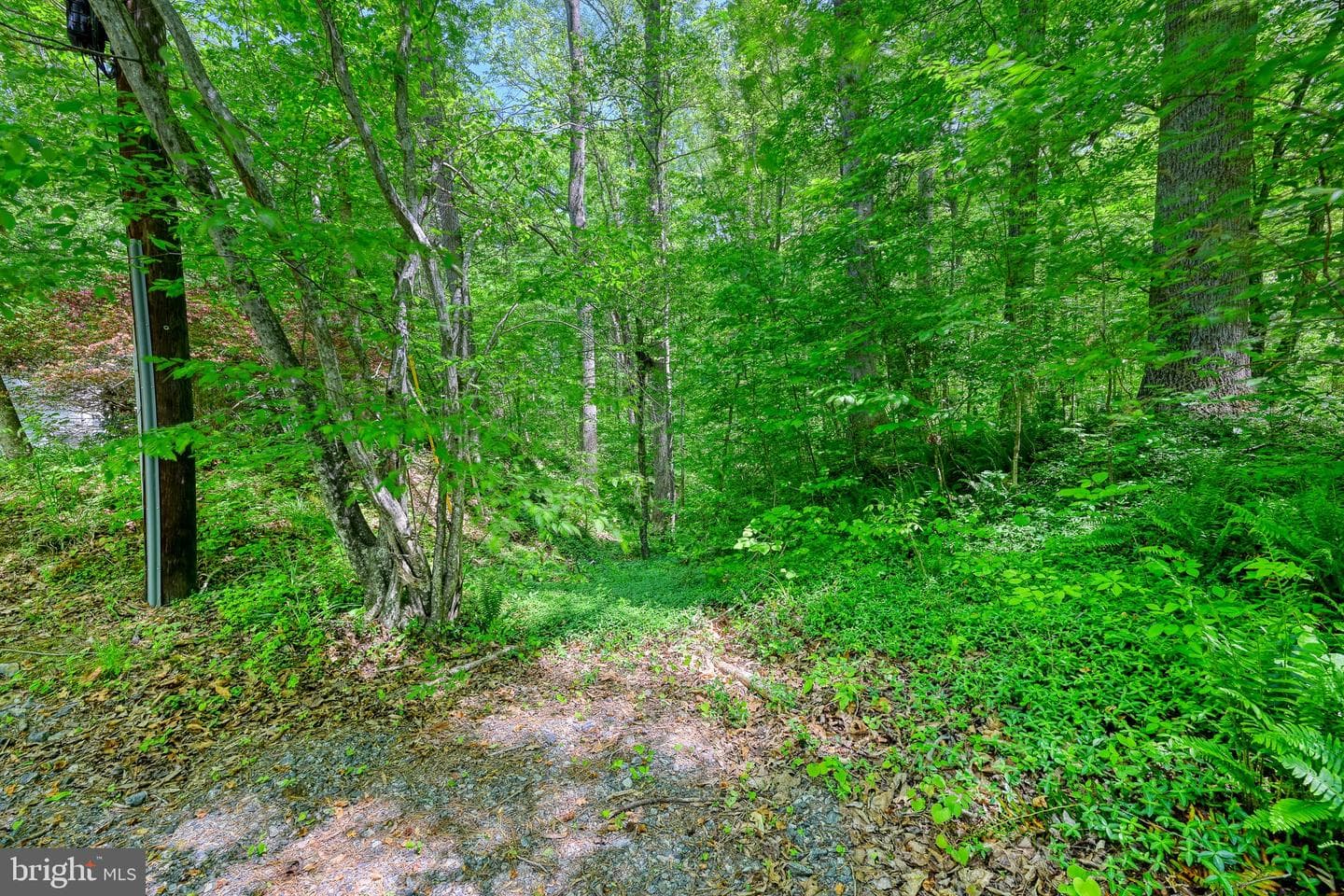 14584 Cross County Road photo 16