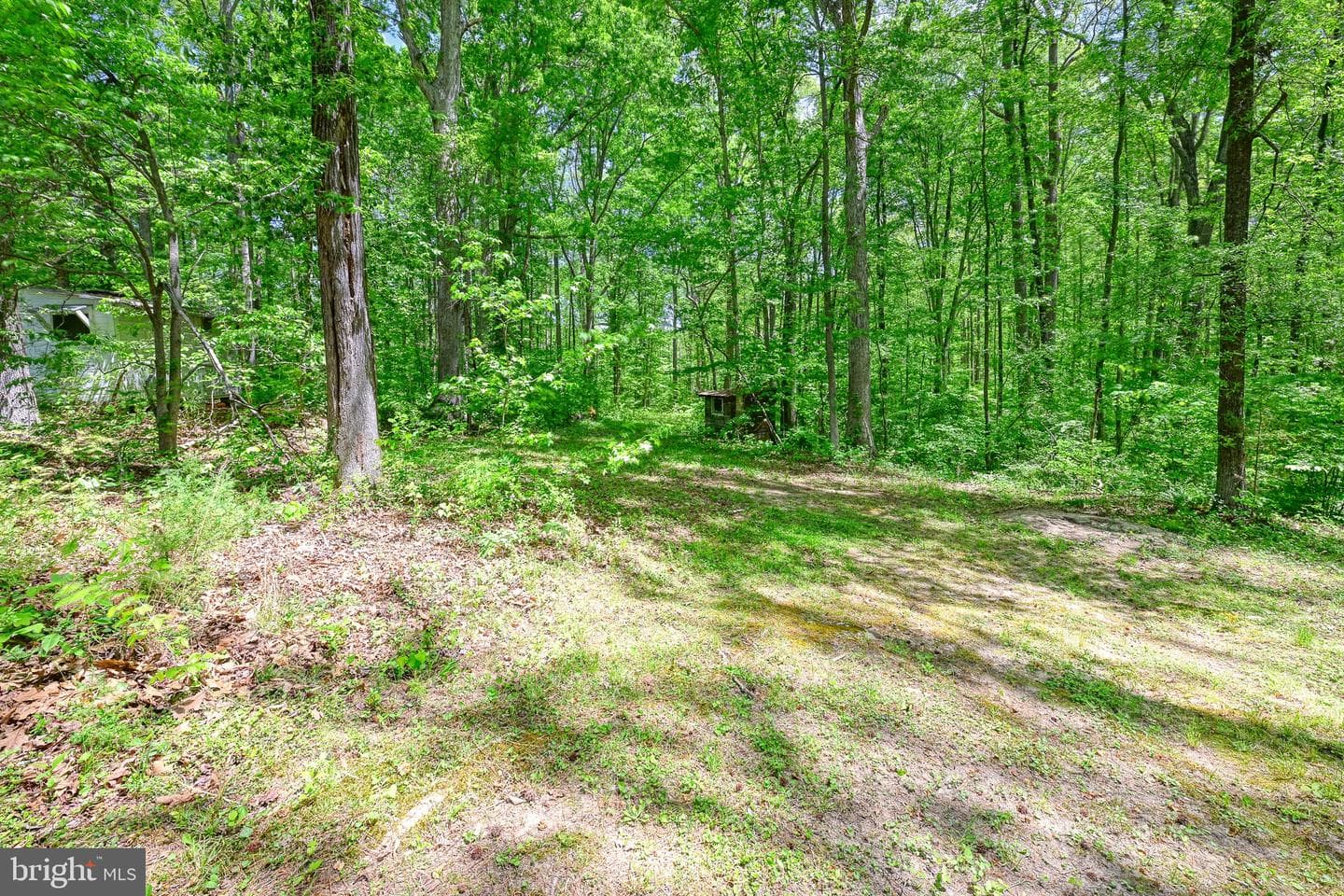 14584 Cross County Road photo 49