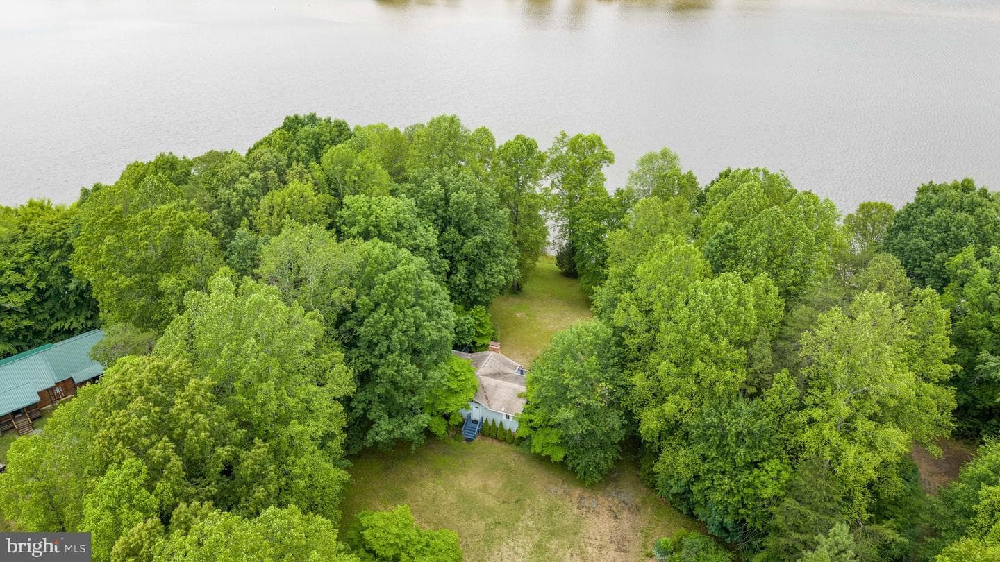 303 Pine Drive photo 94