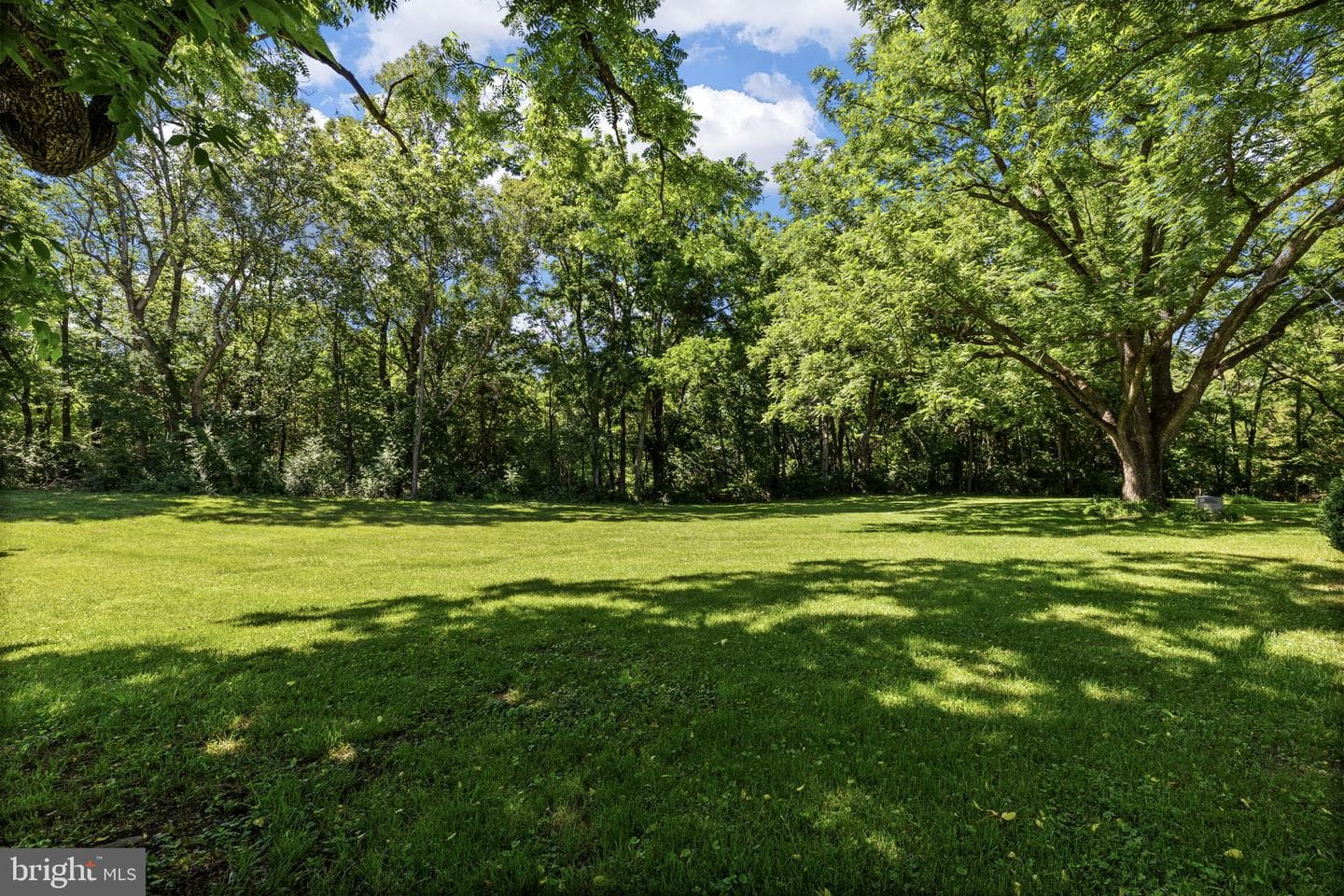 185 Mountain View photo 91