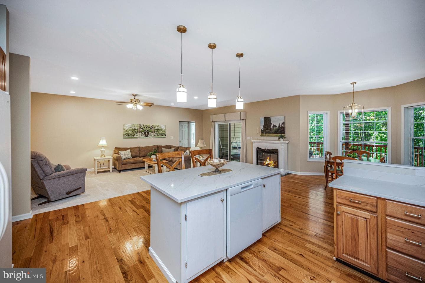 1803 Shenandoah Crossing Drive photo 16