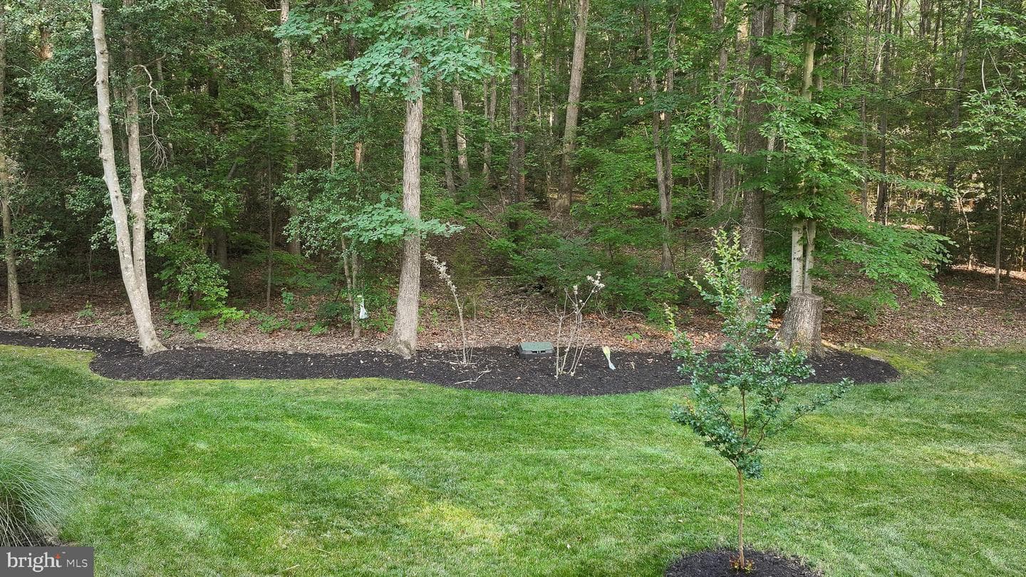 3938 Moody Town Rd photo 51