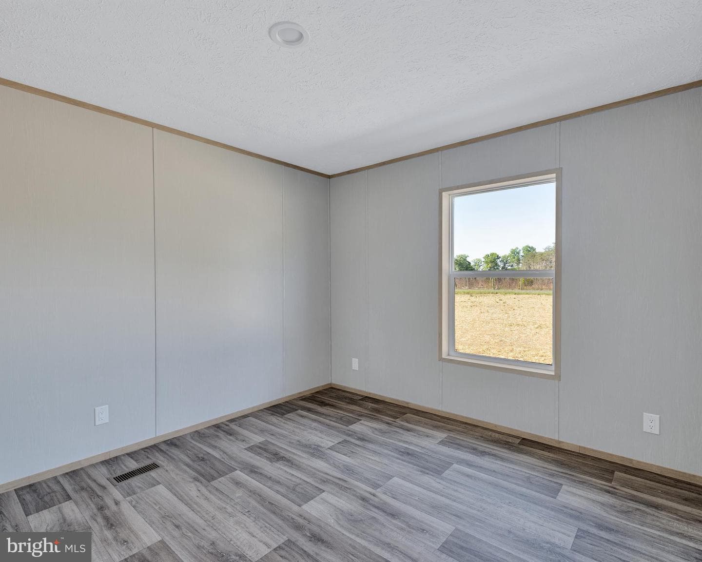 241 Moorefield Road photo 23