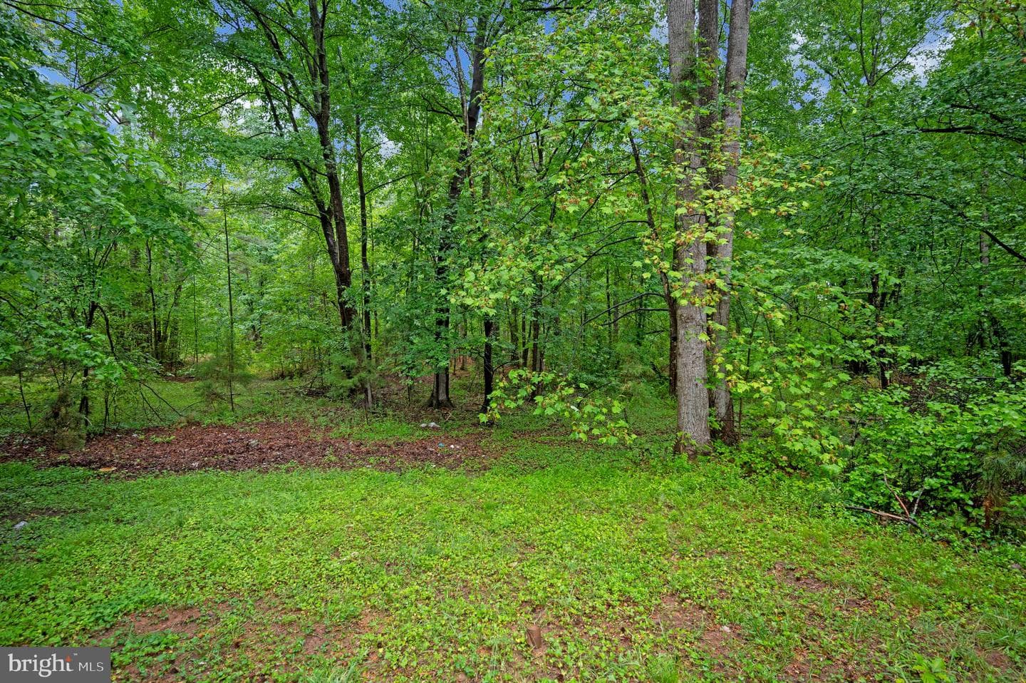 1438 Eastham Road photo 39