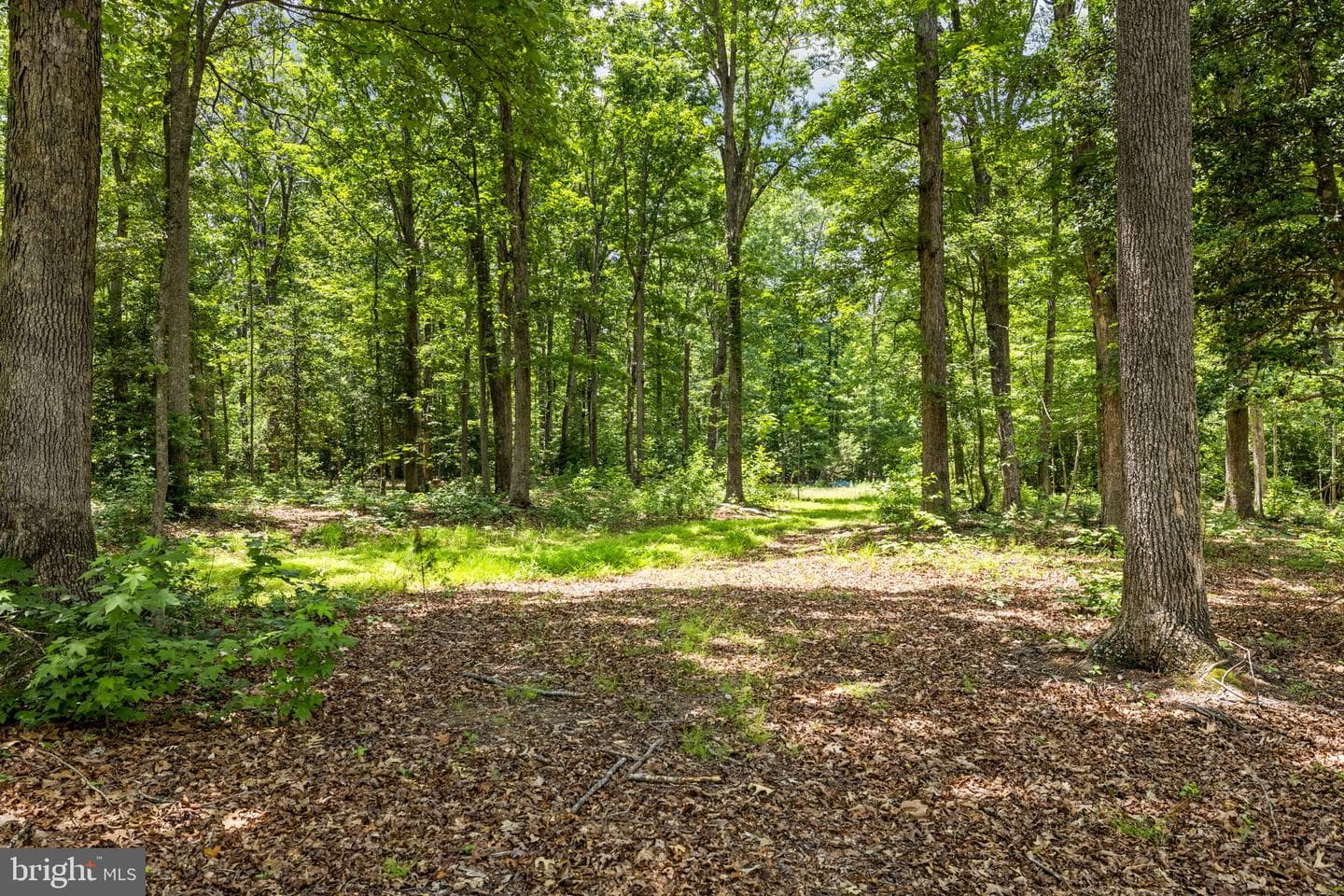 1271 Apple Grove Road photo 64