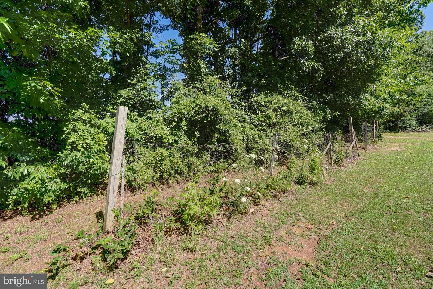 4319 Indian Creek Road photo 41