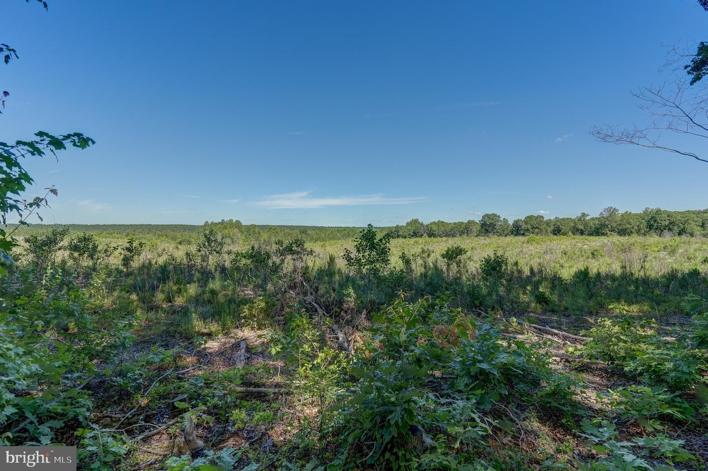 4319 Indian Creek Road photo 43