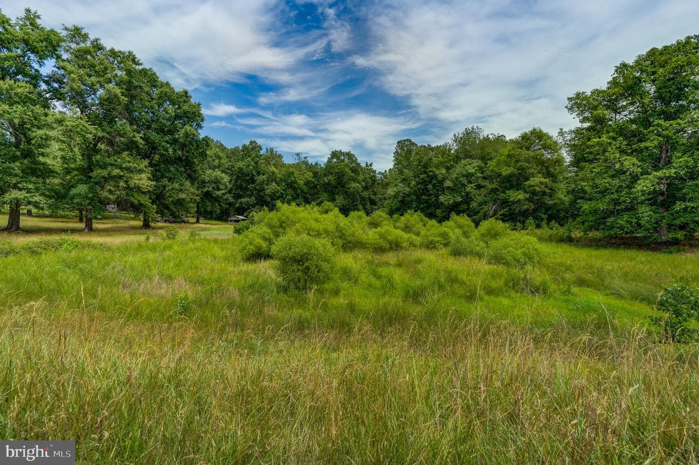 8858 Poindexter Road photo 35