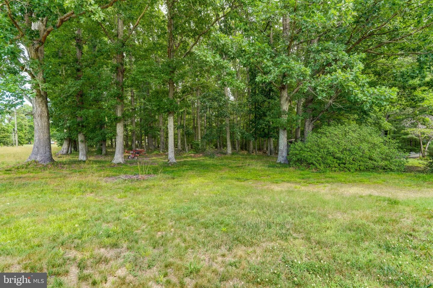 8858 Poindexter Road photo 43