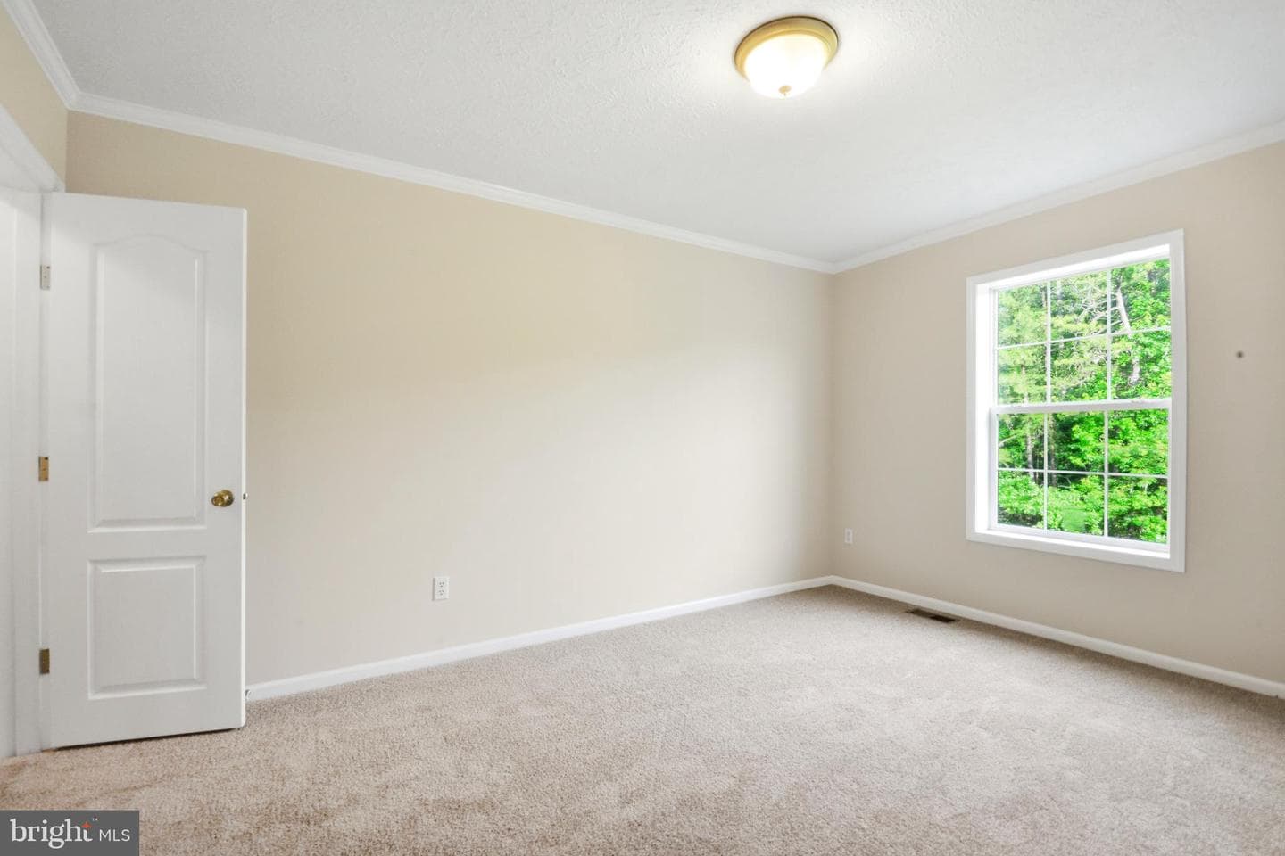 31 Cosner Road photo 19