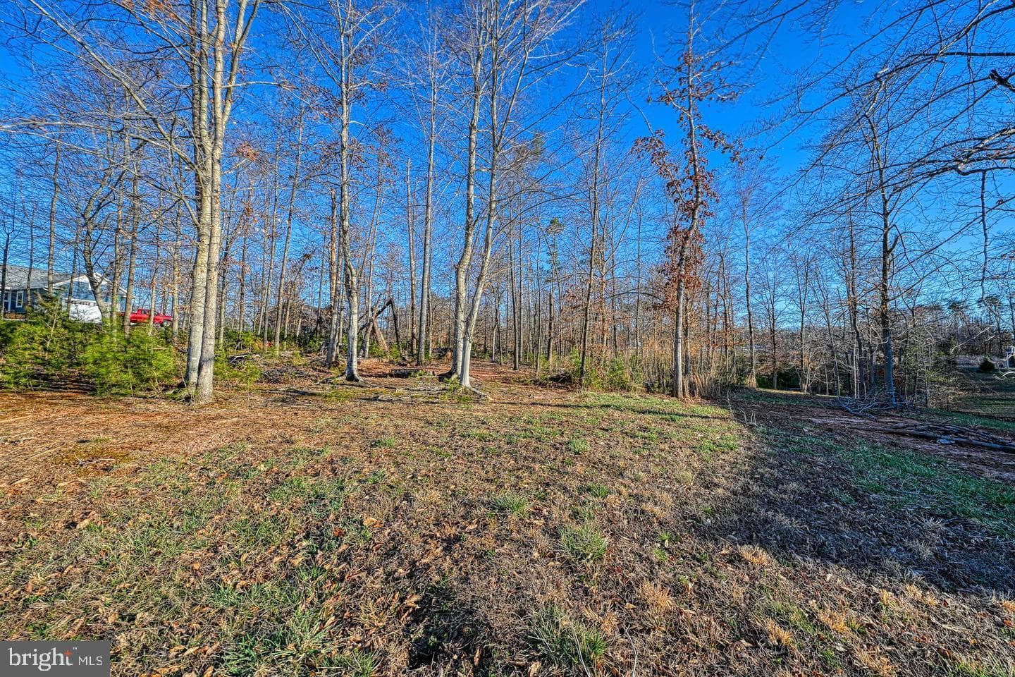 1079 Alma Gaynelle Drive photo 40