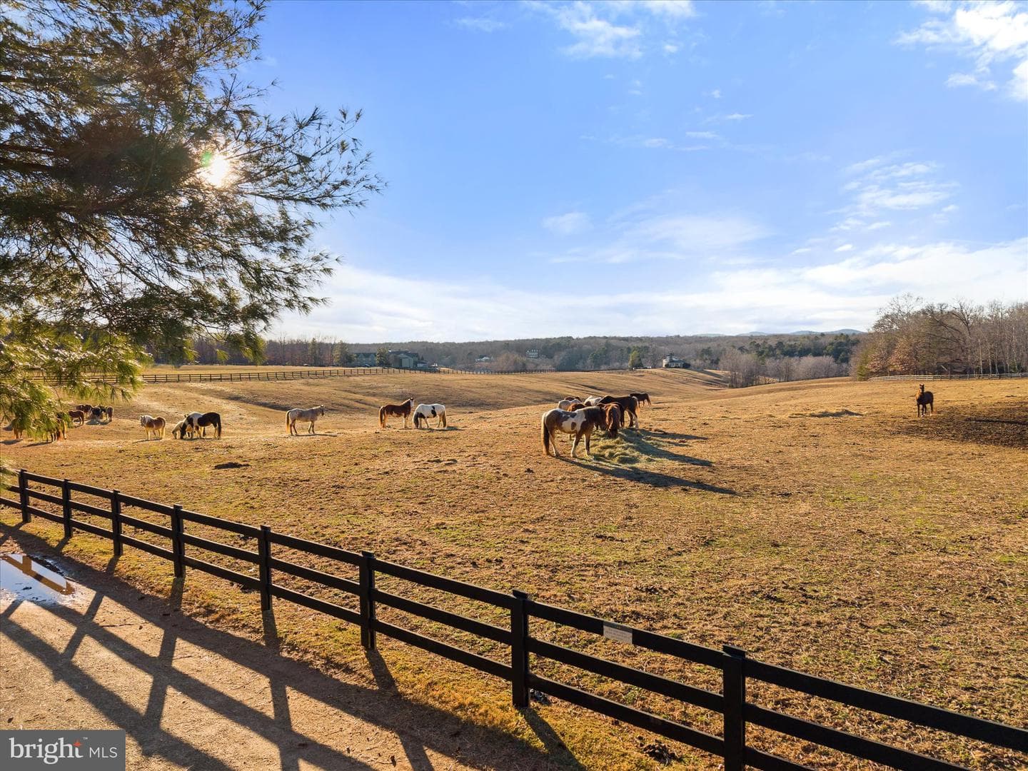 367 Pinehurst Drive photo 84
