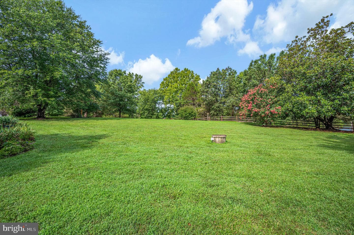 446 Bailey Drive photo 10
